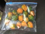 Garden-Produce-2010-09-16